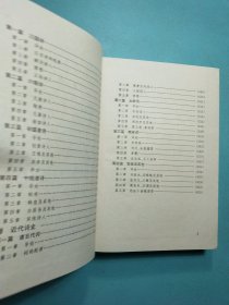 中国诗史（ 山东大学文史书系）精装本