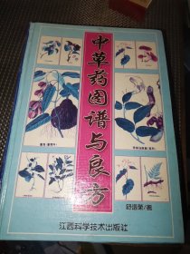 中草药图谱与良方