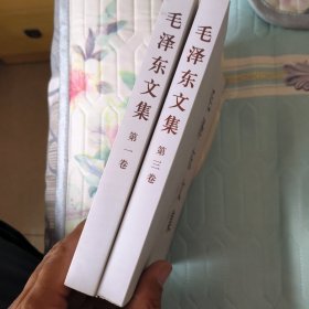 毛泽东文集