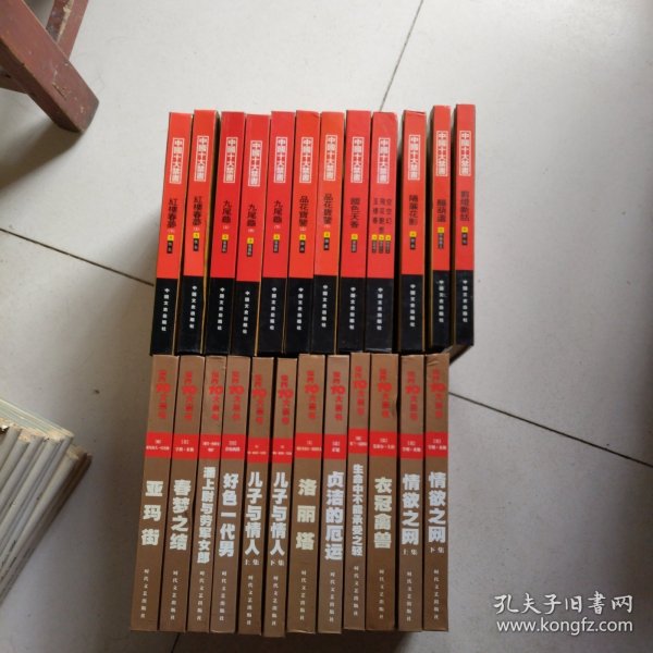 中国十大禁书：1一l2册全和世界十大禁书1一l2册全共24册合售
