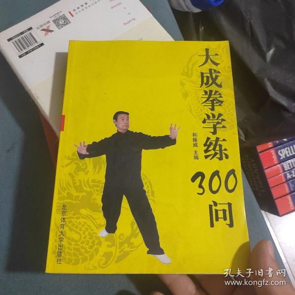 大成拳学练300问