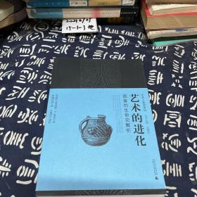 艺术的进化：图案的生命史解析