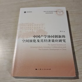 中国产学协同创新的空间演化及其经济效应研究