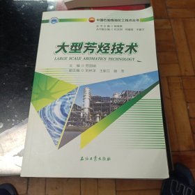 大型芳烃技术/中国石油炼油化工技术丛书