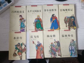 中国历代通俗演义故事：吕四娘演义，太平天国演义，岳飞传，杨家将，儒林外史，官场现形记，水浒传，多尔衮轶事 共8本合售 馆藏