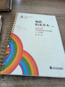 彩虹汉字丛书：盲文版·触摸阳光草木上下册