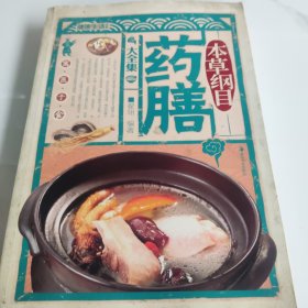 本草纲目药膳大全集