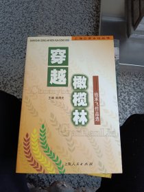 穿越橄榄林一钱承飞作品选