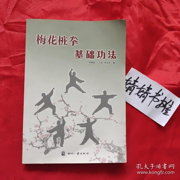 梅花桩拳基础功法(正版武术气功书,真人像片演示,习练参考精典,请见品相描述)