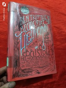 The Accidental Highwayman: Being the Tale of Kit Bristol, His Horse Midnight, a Mysterious Princess, and Sundry Magical Persons Besides （小16开，精装）