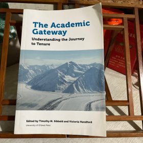 The Academic Gateway: Understanding the Journey to Tenure 学术门户：了解任期之旅