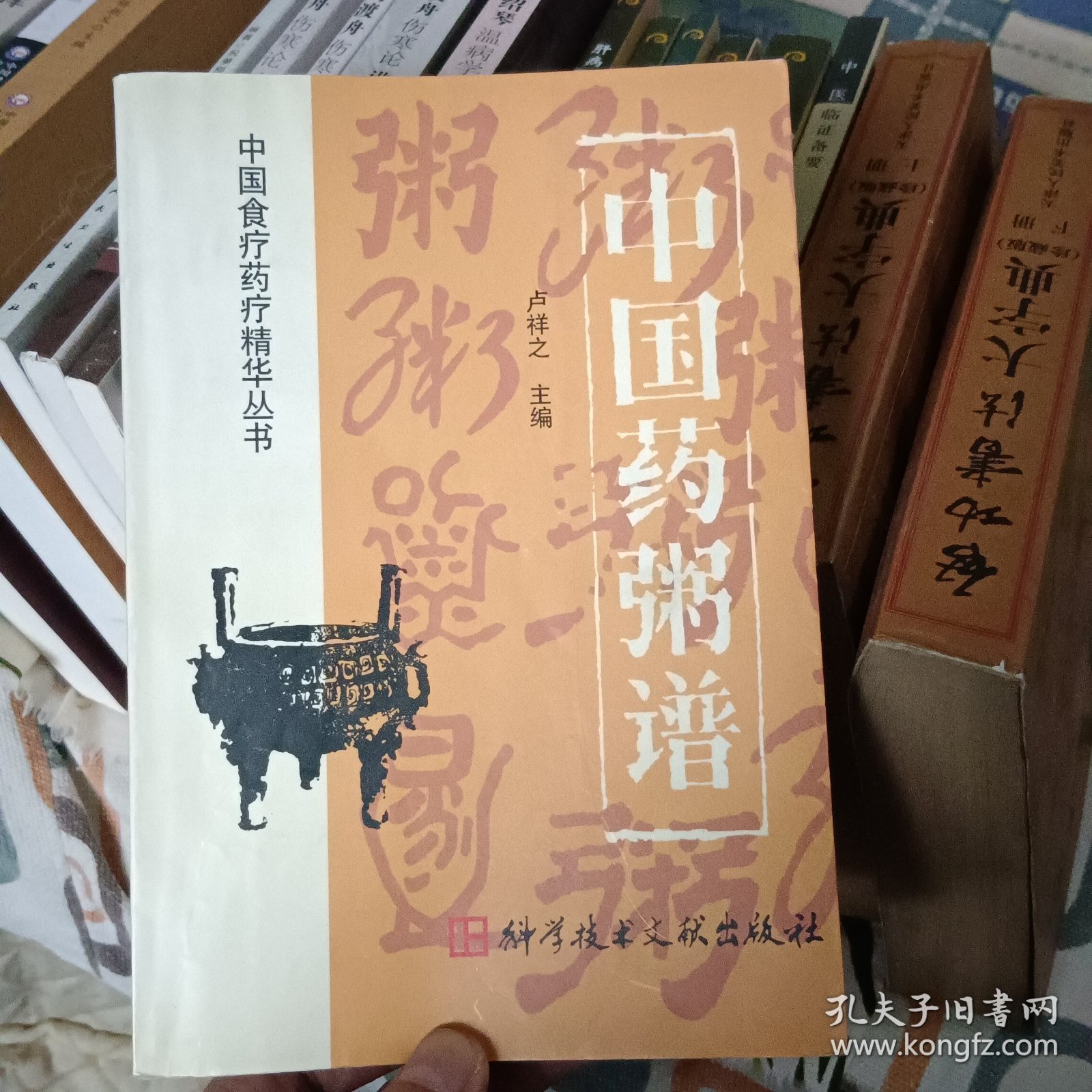 中国药粥谱【正版书 95品】