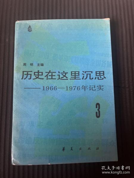 历史在这里沉思 1966-1976年记实