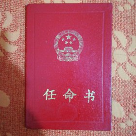 任命书 (1993年)