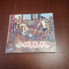 小城春秋（中集）:[连环画]