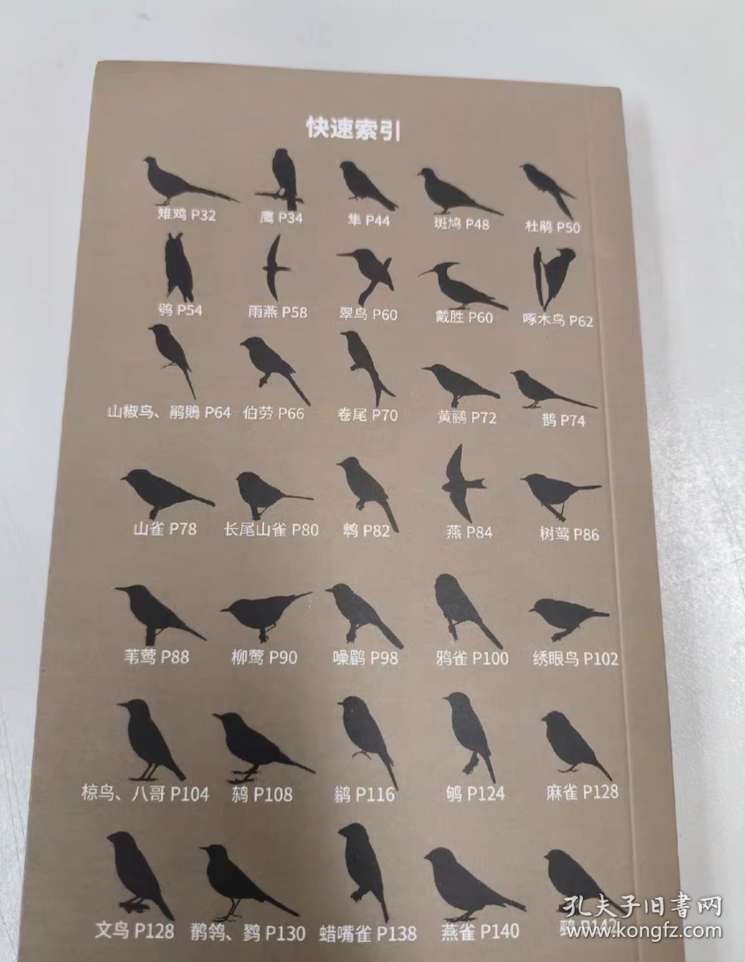 上海林鸟观察入门指南（正版现货，内页干净）