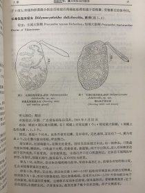 动物分类学报 1983年 第8卷第1期 杂志