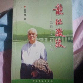 龙江激浪:龙溪公安六年记略