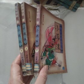 小流浪 上中下