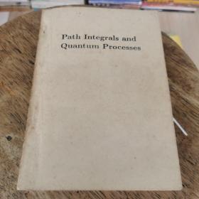 Path integrals and quantum processes:路经积分和量子过程 (英文版) 书撕缺版权页，品相如图