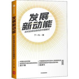 发展新动能 经济理论、法规 丁一凡