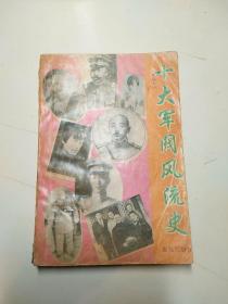 十大军阀风流史