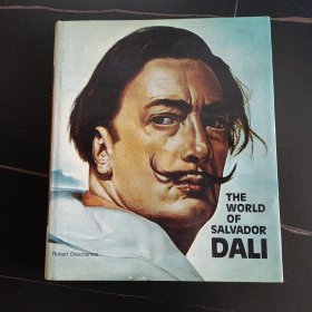 THE WORLD OF SALVADOR DALI ATIDE BOOKS 达利作品集