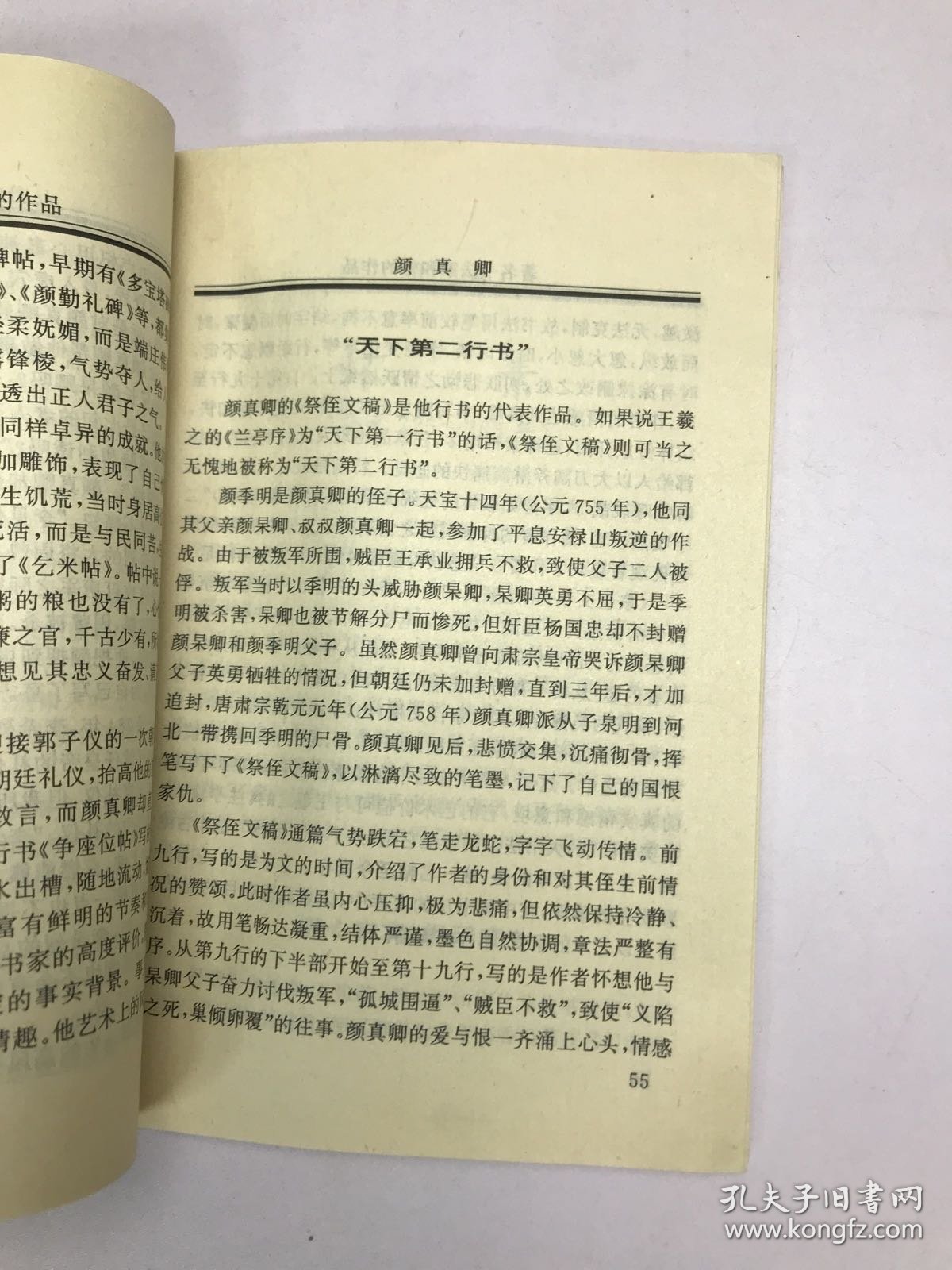 智慧启迪丛书：著名书法家和他的作品