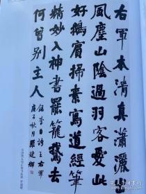 【冲刺十三届国展】冲刺国展 历届书法国展获奖入展作品 唐楷100例  参展书籍