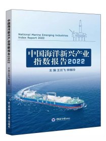 中国海洋新兴产业指数报告2022，王云飞等
