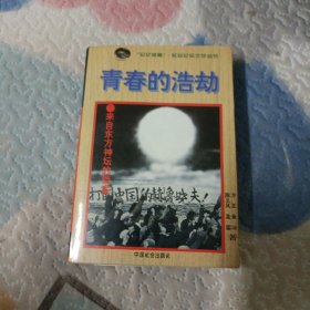 青春的浩劫:来自东方神坛的档案