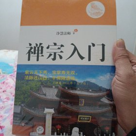 禅宗入门：—禅门泰斗净慧法师遗著纪念珍藏版，最全面了解禅宗的好书
