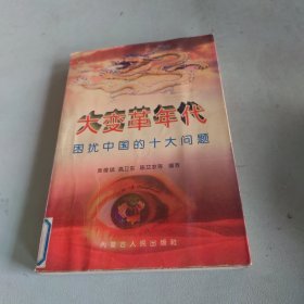 大变革年代:困扰中国的十大问题