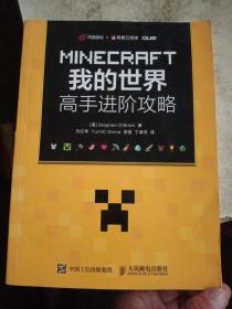 MINECRAFT我的世界 高手进阶攻略