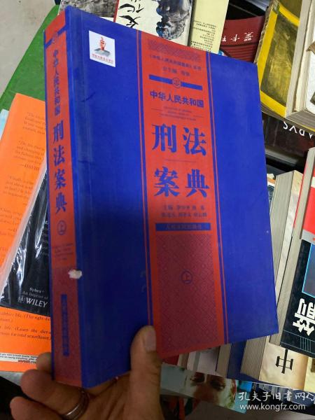 中华人民共和国案典系列-中华人民共和国刑法案典(平装) 上