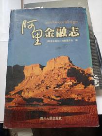 阿里金融志
2003年一版一印