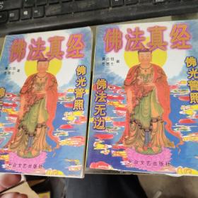 佛法真经(全册)上下 有点破损