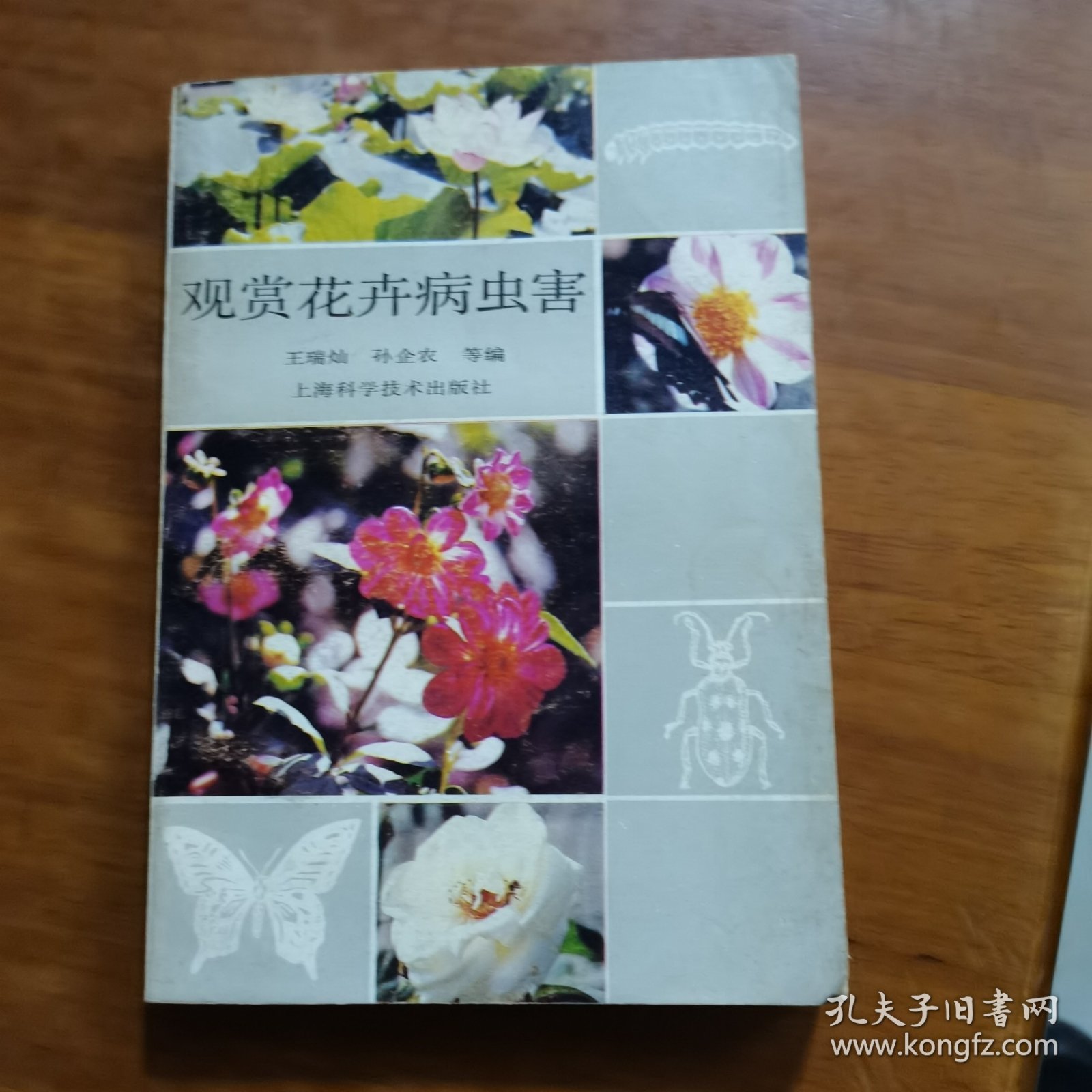 观赏花卉病虫害（放阁楼位）