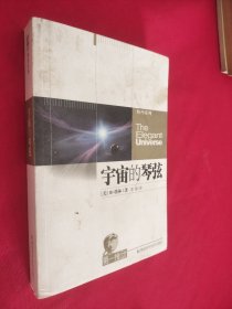 宇宙的琴弦