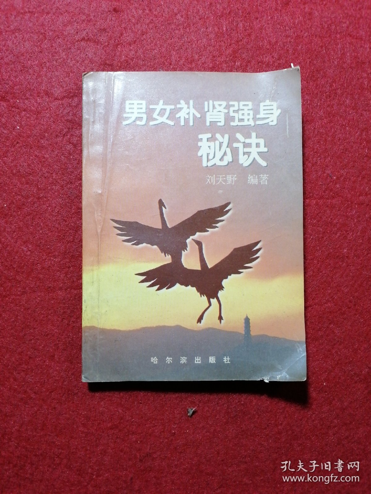 男女补肾强身秘诀