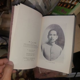 孙中山全集 第四卷 1917-1918