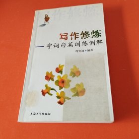 写作修炼:字词句篇训练例解