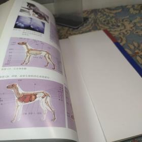 犬猫疾病防治方药手册