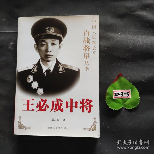 王必成中将