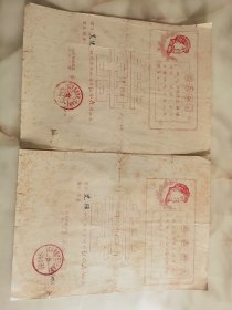 1969年加入红小兵喜报2张