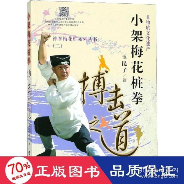 小架梅花桩拳 搏击之道之道 