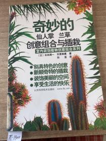 奇妙的仙人掌 兰草创意组合与插栽