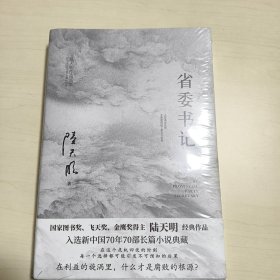 省委书记（国家图书奖、飞天奖、金鹰奖得主陆天明经典作品，电视剧《省委书记》原著小说）