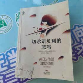 切尔诺贝利的悲鸣