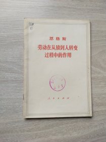 劳动在从猿到人转变过程中的作用